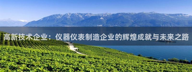 恒行2褚74OOO5：高新技术企业：仪器仪表制造企业的辉煌成