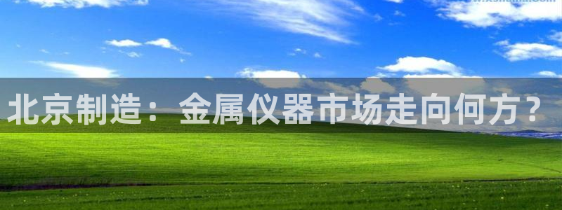 恒行登录老大6ll5l典型：北京制造：金属仪器市场走向何方？