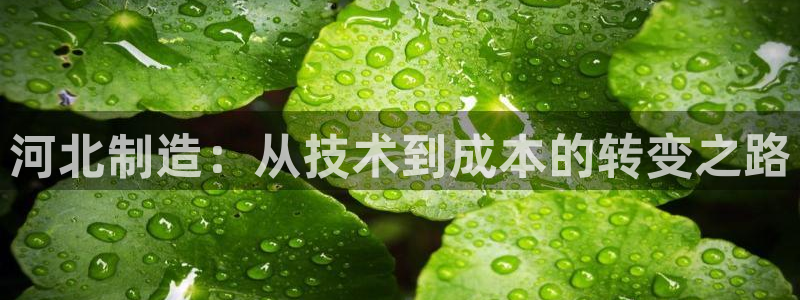 恒行主管总代6ll5l周至：河北制造：从技术到成本的转变之路