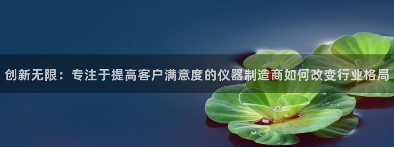 恒行2那74OO5：创新无限：专注于提高客户满意度的仪器制造