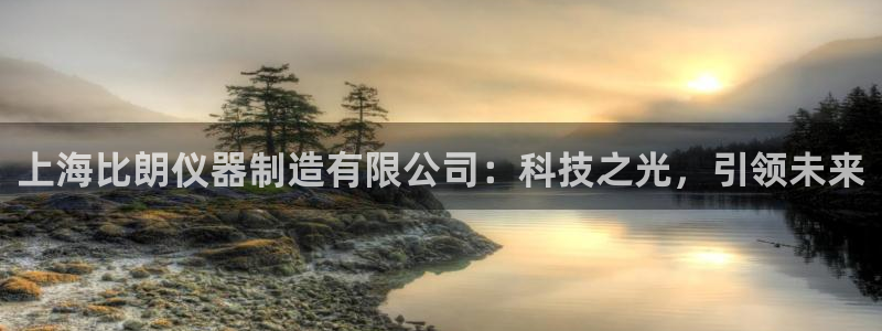 恒行5：上海比朗仪器制造有限公司：科技之光，引领未来