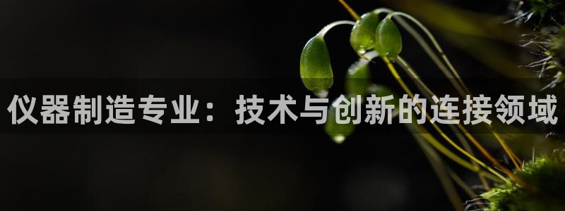 恒行2那74OO5：仪器制造专业：技术与创新的连接领域