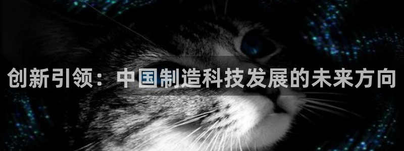 恒行娱乐郑74OOO5：创新引领：中国制造科技发展的未来方向