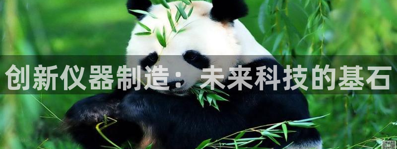 恒行娱乐老板推荐5ll533主管：创新仪器制造：未来科技的基