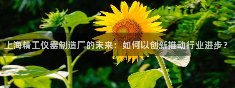 恒行娱乐郑74OOO5：上海精工仪器制造厂的未来：如何以创新