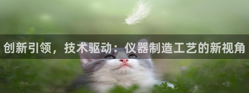 恒行注册招收6ll5l指定：创新引领，技术驱动：仪器制造工艺