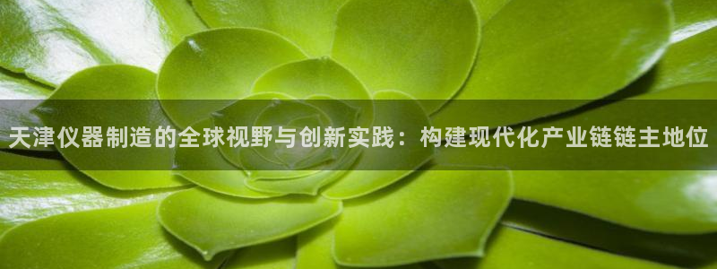 恒行2许74OOO5：天津仪器制造的全球视野与创新实践：构建