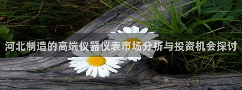 恒行5：河北制造的高端仪器仪表市场分析与投资机会探讨