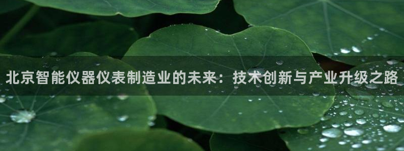 恒行娱乐登录信用 74ooo5：北京智能仪器仪表制造业的未来