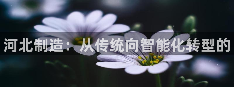 恒行娱乐卫74OOO5：河北制造：从传统向智能化转型的