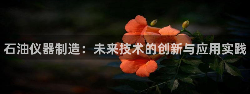 恒指5行情 如来再我心：石油仪器制造：未来技术的创新与应用实