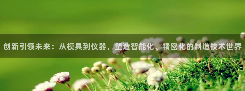 恒行登录老大6ll5l典型：创新引领未来：从模具到仪器，塑造