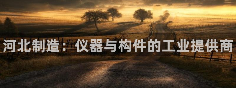 恒行代理总代主导 6ll5l：河北制造：仪器与构件的工业提供
