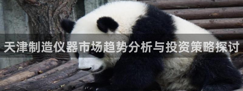 恒行主管6ll5l指定：天津制造仪器市场趋势分析与投资策略探