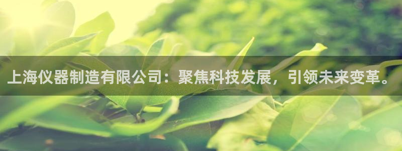 恒行娱乐5ll533主管正直：上海仪器制造有限公司：聚焦科技