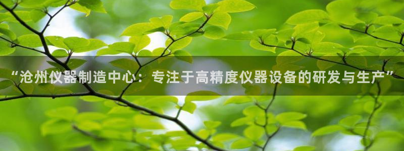 恒行5：“沧州仪器制造中心：专注于高精度仪器设备的研发与生产