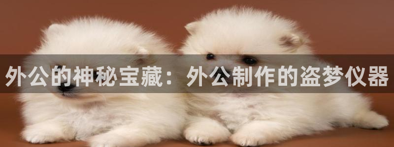 恒行主管首问6ll5l：外公的神秘宝藏：外公制作的盗梦仪器