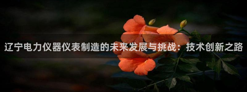恒行2卫74OOO5：辽宁电力仪器仪表制造的未来发展与挑战：