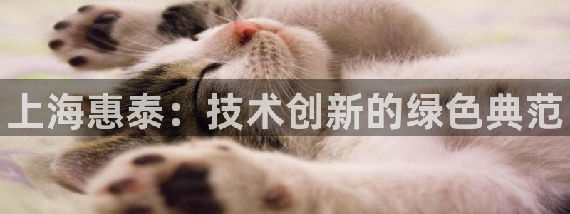 恒行娱乐卫74OOO5：上海惠泰：技术创新的绿色典范