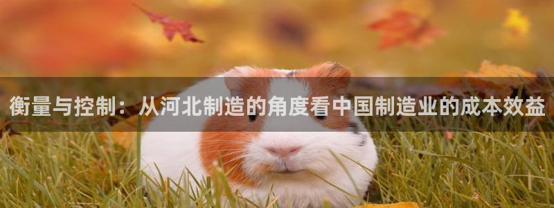 恒行娱乐鸟74ooo5判官：衡量与控制：从河北制造的角度看中