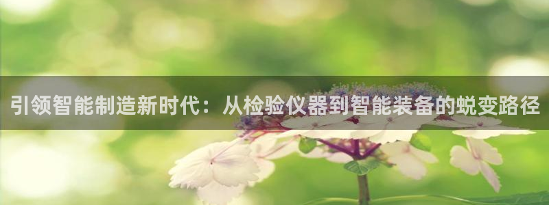 恒行娱乐卫74OOO5：引领智能制造新时代：从检验仪器到智能