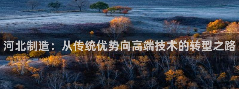 恒行主管6ll5l指定：河北制造：从传统优势向高端技术的转型