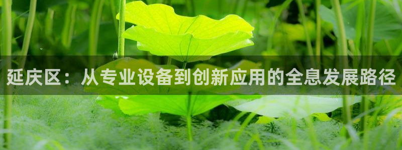 恒行开户娱乐6ll5l特惠：延庆区：从专业设备到创新应用的全