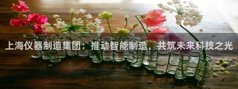 恒行娱乐热74ooo5主宰：上海仪器制造集团：推动智能制造，
