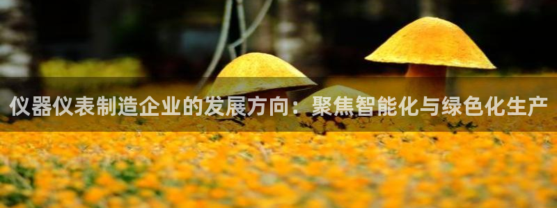 恒行娱乐掏沂74ooo5弛：仪器仪表制造企业的发展方向：聚焦