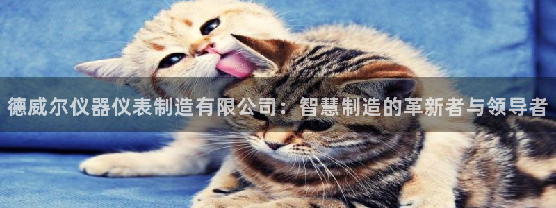 恒行娱乐度74ooo5聘霖：德威尔仪器仪表制造有限公司：智慧