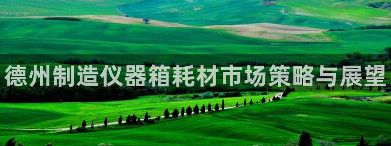 恒行娱乐热74ooo5主宰：德州制造仪器箱耗材市场策略与展望