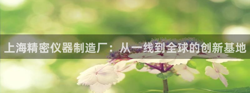 恒行主管总代6ll5l周至：上海精密仪器制造厂：从一线到全球