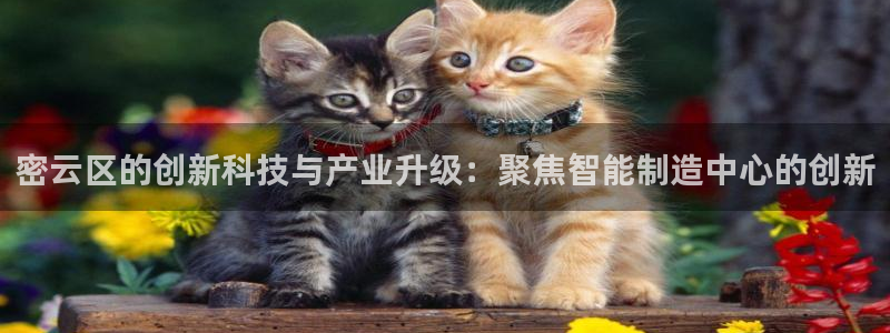 恒行2吕74OOO5：密云区的创新科技与产业升级：聚焦智能制