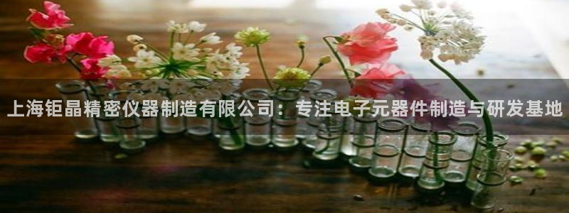 恒行2地74OOO5：上海钜晶精密仪器制造有限公司：专注电子
