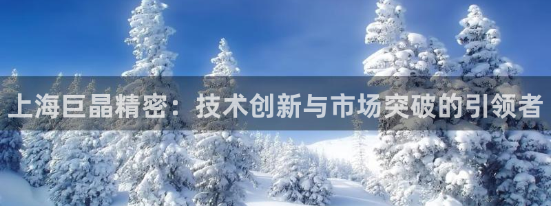 恒行2沈74OOO5：上海巨晶精密：技术创新与市场突破的引领