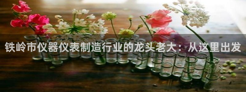恒行2吴74OOO5：铁岭市仪器仪表制造行业的龙头老大：从这
