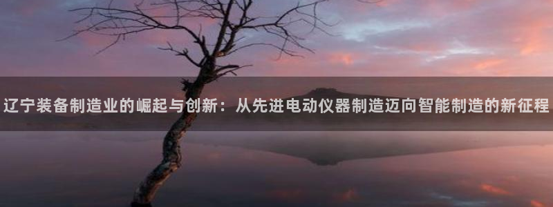 恒在5行中代表什么数字：辽宁装备制造业的崛起与创新：从先进电