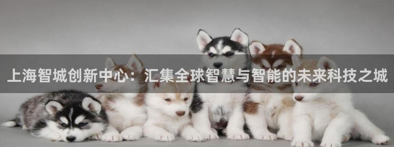 恒行娱乐度74ooo5聘霖：上海智城创新中心：汇集全球智慧与