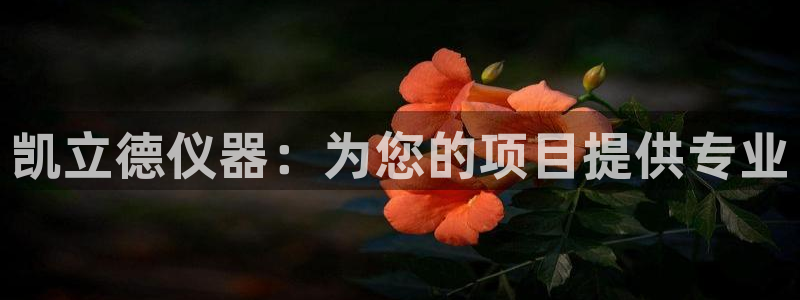 恒行开户娱乐6ll5l特惠：凯立德仪器：为您的项目提供专业