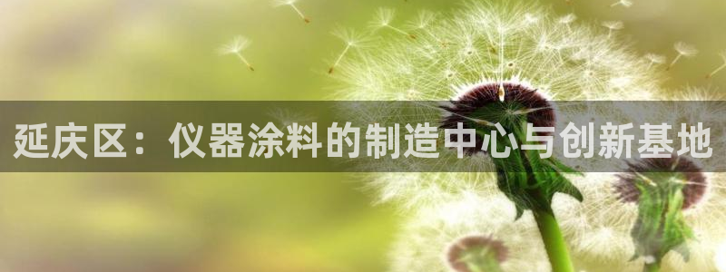 恒行2许74OOO5：延庆区：仪器涂料的制造中心与创新基地