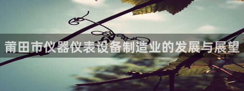 恒行娱乐度74ooo5聘霖：莆田市仪器仪表设备制造业的发展与