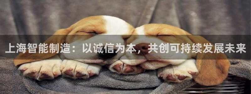 恒行娱乐掌74ooo5呀蚕：上海智能制造：以诚信为本，共创可