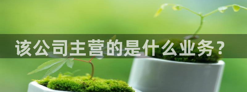 恒行彩票亏5千：该公司主营的是什么业务？