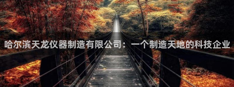 恒行彩票亏5千：哈尔滨天龙仪器制造有限公司：一个制造天地的科