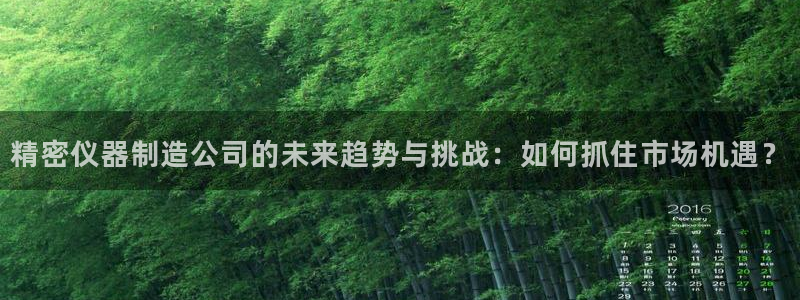 恒行2下74OO5：精密仪器制造公司的未来趋势与挑战：如何抓
