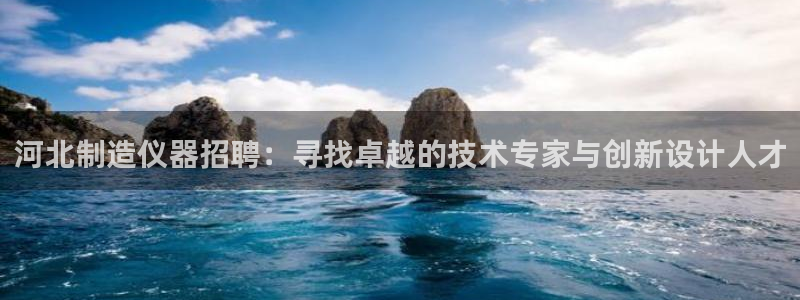 恒行2那74OO5：河北制造仪器招聘：寻找卓越的技术专家与创