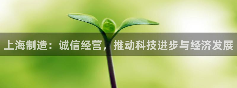 恒行娱乐登录5ll533主管一流：上海制造：诚信经营，推动科