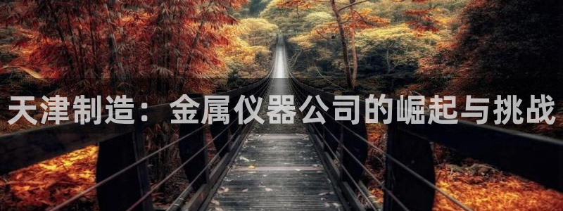 恒行开户娱乐6ll5l特惠：天津制造：金属仪器公司的崛起与挑