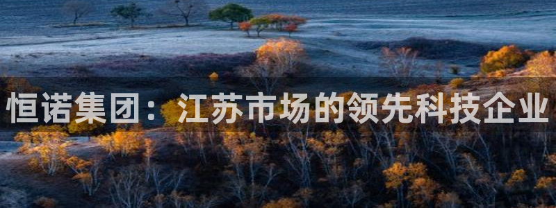 恒行2王74OOO5：恒诺集团：江苏市场的领先科技企业