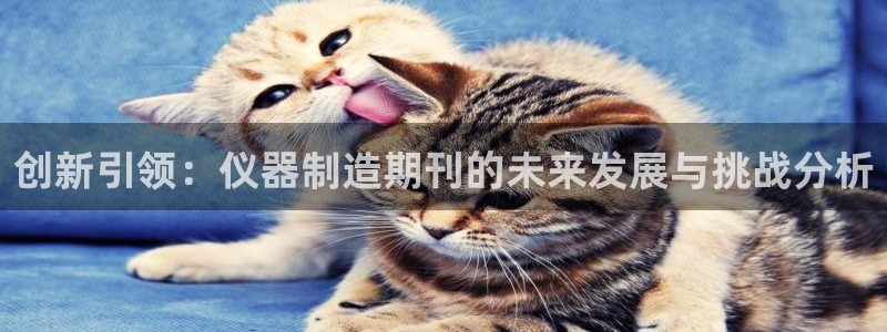 恒行2下74OOO5：创新引领：仪器制造期刊的未来发展与挑战